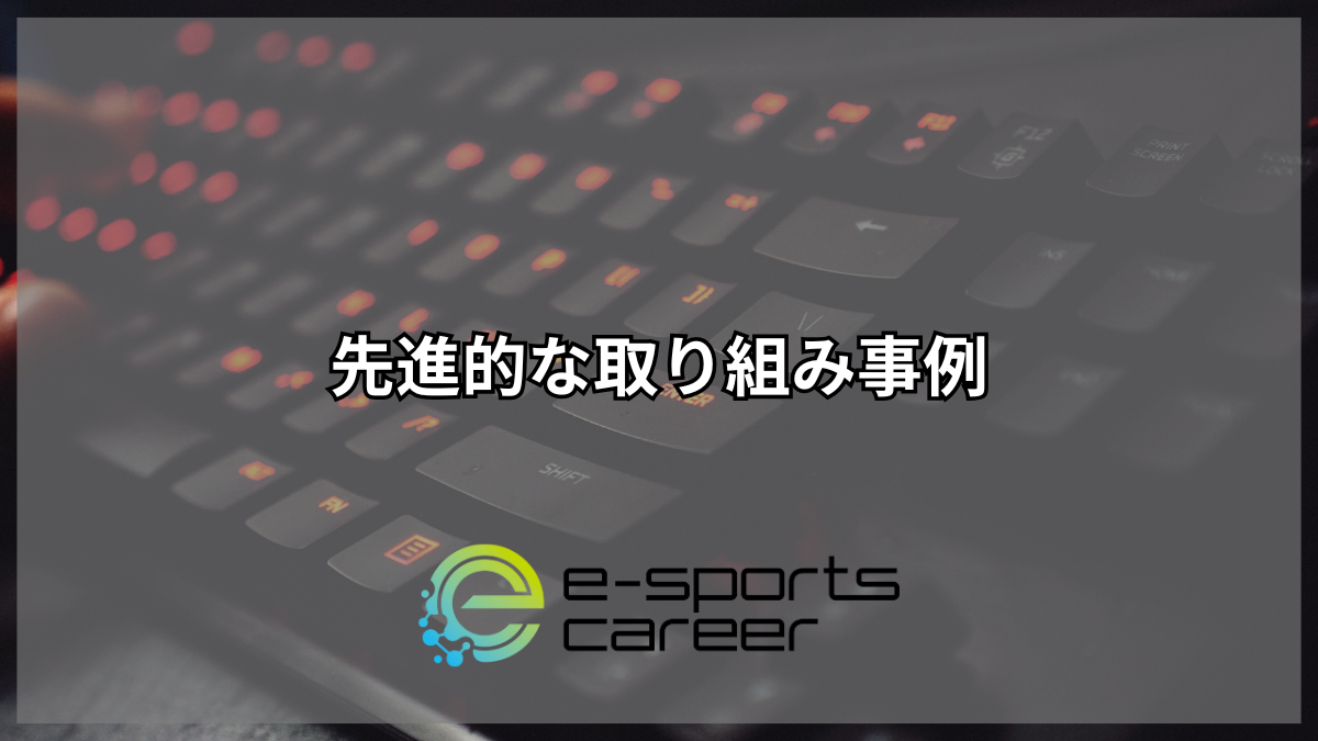 先進的な取り組み事例